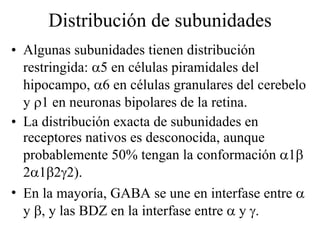 Distribución de subunidades Algunas subunidades tienen distribución restringida:   5 en células piramidales del hipocampo,   6 en células granulares del cerebelo y   1 en neuronas bipolares de la retina. La distribución exacta de subunidades en receptores nativos es desconocida, aunque probablemente 50% tengan la conformación   1  2  1  2  2). En la mayoría, GABA se une en interfase entre    y   , y las BDZ en la interfase entre    y   . 