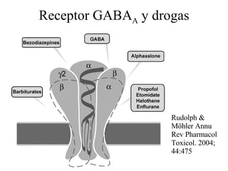 Receptor GABA A  y drogas Rudolph & M öhler   Annu Rev Pharmacol Toxicol. 2004;   44:475 