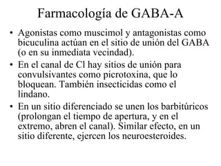 Farmacología de GABA-A Agonistas como muscimol y antagonistas como bicuculina actúan en el sitio de unión del GABA (o en su inmediata vecindad). En el canal de Cl hay sitios de unión para convulsivantes como picrotoxina, que lo bloquean. También insecticidas como el lindano. En un sitio diferenciado se unen los barbitúricos (prolongan el tiempo de apertura, y en el extremo, abren el canal). Similar efecto, en un sitio diferente, ejercen los neuroesteroides. 