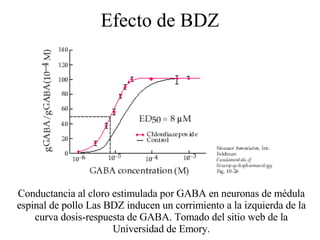 Efecto de BDZ Conductancia al cloro estimulada por GABA en neuronas de médula espinal de pollo Las BDZ inducen un corrimiento a la izquierda de la curva dosis-respuesta de GABA.   Tomado del sitio web de la Universidad de Emory. 