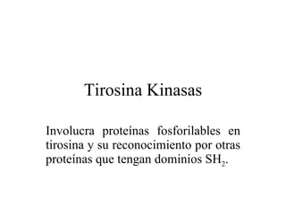 Tirosina Kinasas Involucra proteínas fosforilables en tirosina y su reconocimiento por otras proteínas que tengan dominios SH 2 . 