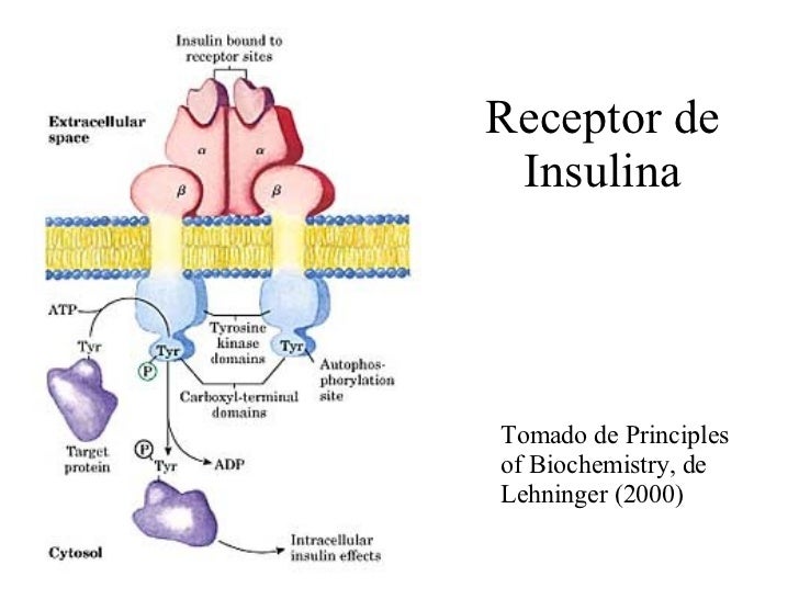 Farmacodinamia Farmacodinamia