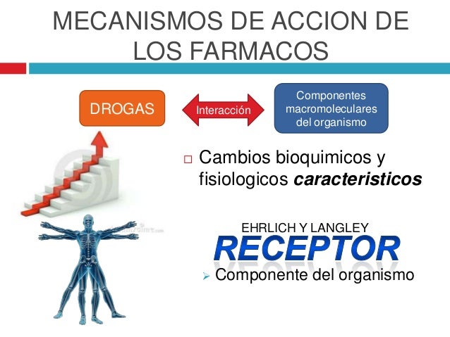Farmacodinamia
