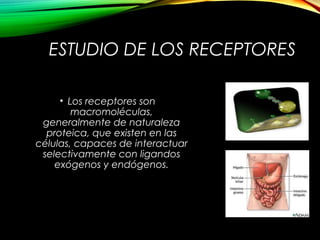 ESTUDIO DE LOS RECEPTORES
• Los receptores son
macromoléculas,
generalmente de naturaleza
proteica, que existen en las
células, capaces de interactuar
selectivamente con ligandos
exógenos y endógenos.
 