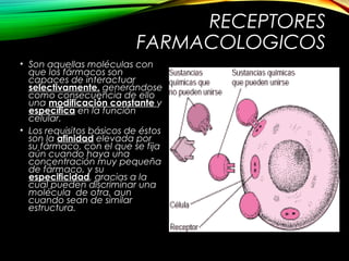 RECEPTORES
FARMACOLOGICOS
• Son aquellas moléculas con
que los fármacos son
capaces de interactuar
selectivamente, generándose
como consecuencia de ello
una modificación constante y
específica en la función
celular.
• Los requisitos básicos de éstos
son la afinidad elevada por
su fármaco, con el que se fija
aún cuando haya una
concentración muy pequeña
de fármaco, y su
especificidad, gracias a la
cual pueden discriminar una
molécula de otra, aun
cuando sean de similar
estructura.
 