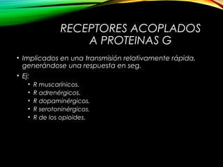 RECEPTORES ACOPLADOS
A PROTEINAS G
• Implicados en una transmisión relativamente rápida,
generándose una respuesta en seg.
• Ej:
• R muscarínicos.
• R adrenérgicos.
• R dopaminérgicos.
• R serotoninérgicos.
• R de los opioides.
 