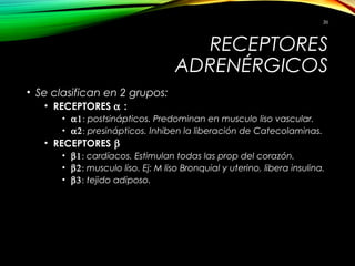 RECEPTORES
ADRENÉRGICOS
• Se clasifican en 2 grupos:
• RECEPTORES α :
• α1: postsinápticos. Predominan en musculo liso vascular.
• α2: presinápticos. Inhiben la liberación de Catecolaminas.
• RECEPTORES β
• β1: cardíacos. Estimulan todas las prop del corazón.
• β2: musculo liso. Ej: M liso Bronquial y uterino, libera insulina.
• β3: tejido adiposo.
36
 