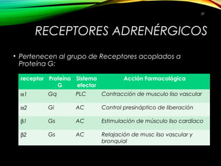 RECEPTORES ADRENÉRGICOS
• Pertenecen al grupo de Receptores acoplados a
Proteína G:
receptor Proteína
G
Sistema
efector
Acción Farmacológica
α1 Gq PLC Contracción de musculo liso vascular
α2 Gi AC Control presináptico de liberación
β1 Gs AC Estimulación de músculo liso cardíaco
β2 Gs AC Relajación de musc liso vascular y
bronquial
37
 