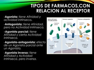 TIPOS DE FARMACOS,CON
RELACION AL RECEPTOR
-Agonista: tiene Afinidad y
actividad intrínseca.
-Antagonista: tiene Afinidad,
pero no Actividad Intrínseca.
-Agonista parcial: tiene
Afinidad y cierta Actividad
Intrínseca.
-Agonista-antagonista: efecto
de un Agonista parcial ante
un Agonista.
-Agonista inverso: tiene
Afinidad y Actividad
Intrínseca, pero inversa.
 