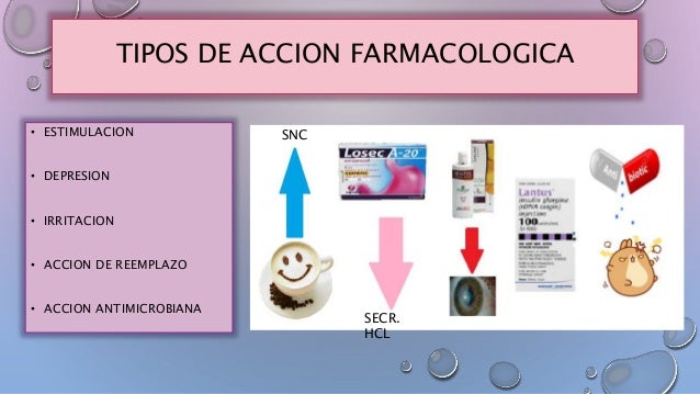 farmacodinamia del bactrim f