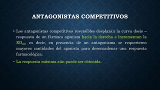 ANTAGONISTAS COMPETITIVOS
• Los antagonistas competitivos reversibles desplazan la curva dosis –
respuesta de un fármaco agonista hacia la derecha e incrementan la
ED50, es decir, en presencia de un antagonisma se requerieren
mayores cantidades del agonista para desencadenar una respuesta
farmacológica.
• La respuesta máxima aún puede ser obtenida.
 