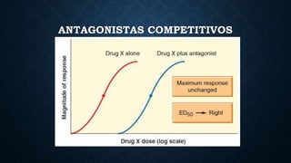 ANTAGONISTAS COMPETITIVOS
 