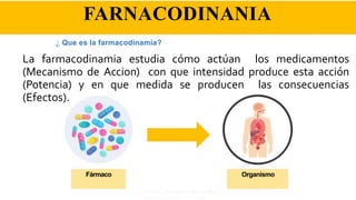 FARNACODINANIA
¿ Que es la farmacodinamia?
Fármaco Organismo
La farmacodinamia estudia cómo actúan los medicamentos
(Mecanismo de Accion) con que intensidad produce esta acción
(Potencia) y en que medida se producen las consecuencias
(Efectos).
 