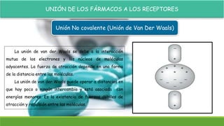 UNIÓN DE LOS FÁRMACOS A LOS RECEPTORES
Unión No covalente (Unión de Van Der Waals)
La unión de van der Waals se debe a la interacción
mutua de los electrones y los núcleos de moléculas
adyacentes. La fuerza de atracción depende en una forma
de la distancia entre las moléculas.
La unión de van der Waals puede operar a distancias en
que hay poco o ningún intercambio y está asociada con
energías menores. Es la existencia de fuerzas débiles de
atracción y repulsión entre las moléculas.
 