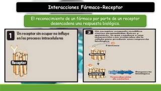Interacciones Fármaco-Receptor
El reconocimiento de un fármaco por parte de un receptor
desencadena una respuesta biológica.
 