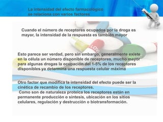 La intensidad del efecto farmacológico
se relaciona con varios factores
Cuando el número de receptores ocupados por la droga es
mayor, la intensidad de la respuesta es también mayor
Esto parece ser verdad, pero sin embargo, generalmente existe
en la célula un número disponible de receptores, mucho mayor
para algunas drogas la ocupación del 1-5% de los receptores
disponibles ya determina una respuesta celular máxima
Otro factor que modifica la intensidad del efecto puede ser la
cinética de recambio de los receptores.
Como son de naturaleza proteica los receptores están en
permanente producción o síntesis, ubicación en los sitios
celulares, regulación y destrucción o biotransformación.
 