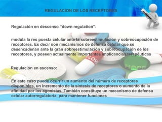 REGULACION DE LOS RECEPTORES
Regulación en ascenso:
Regulación en descenso “down regulation”:
modula la res puesta celular ante la sobreestimulación y sobreocupación de
receptores. Es decir son mecanismos de defensa celular que se
desencadenan ante la gran sobreestimulación y sobreocupación de los
receptores, y poseen actualmente importantes implicancias terapéuticas
En este caso puede ocurrir un aumento del número de receptores
disponibles, un incremento de la síntesis de receptores o aumento de la
afinidad por los agonistas. También constituye un mecanismo de defensa
celular autorregulatoria, para mantener funciones
 
