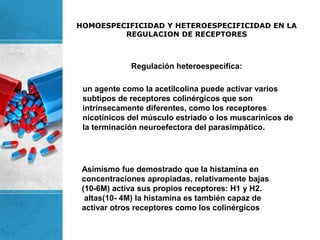 HOMOESPECIFICIDAD Y HETEROESPECIFICIDAD EN LA
REGULACION DE RECEPTORES
Regulación heteroespecífica:
un agente como la acetilcolina puede activar varios
subtipos de receptores colinérgicos que son
intrínsecamente diferentes, como los receptores
nicotínicos del músculo estriado o los muscarínicos de
la terminación neuroefectora del parasimpático.
Asimismo fue demostrado que la histamina en
concentraciones apropiadas, relativamente bajas
(10-6M) activa sus propios receptores: H1 y H2.
altas(10- 4M) la histamina es también capaz de
activar otros receptores como los colinérgicos
 