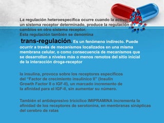 La regulación heteroespecífica ocurre cuando la activación de
un sistema receptor determinado, produce la regulación o
cambios en otro sistema receptor.
Esta regulación también se denomina
trans-regulación. Es un fenómeno indirecto. Puede
ocurrir a través de mecanismos localizados en una misma
membrana celular, o como consecuencia de mecanismos que
se desarrollan a niveles más o menos remotos del sitio inicial
de la interacción droga-receptor
la insulina, provoca sobre los receptores específicos
del “Factor de crecimiento insulínico II” (Insulin
Growth Factor II o IGF-II), un marcado incremento de
la afinidad para el IGF-II, sin aumentar su número.
También el antidepresivo tricíclico IMIPRAMINA incrementa la
afinidad de los receptores de serotonina, en membranas sinápticas
del cerebro de ratas
 