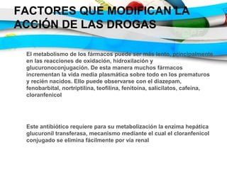 FACTORES QUE MODIFICAN LA
ACCIÓN DE LAS DROGAS
El metabolismo de los fármacos puede ser más lento, principalmente
en las reacciones de oxidación, hidroxilación y
glucuronoconjugación. De esta manera muchos fármacos
incrementan la vida media plasmática sobre todo en los prematuros
y recién nacidos. Ello puede observarse con el diazepam,
fenobarbital, nortriptilina, teofilina, fenitoína, salicilatos, cafeína,
cloranfenicol
Este antibiótico requiere para su metabolización la enzima hepática
glucuronil transferasa, mecanismo mediante el cual el cloranfenicol
conjugado se elimina fácilmente por vía renal
 