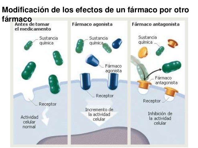 Nociones de Farmacodinamia, fármaco, sitios de fijación