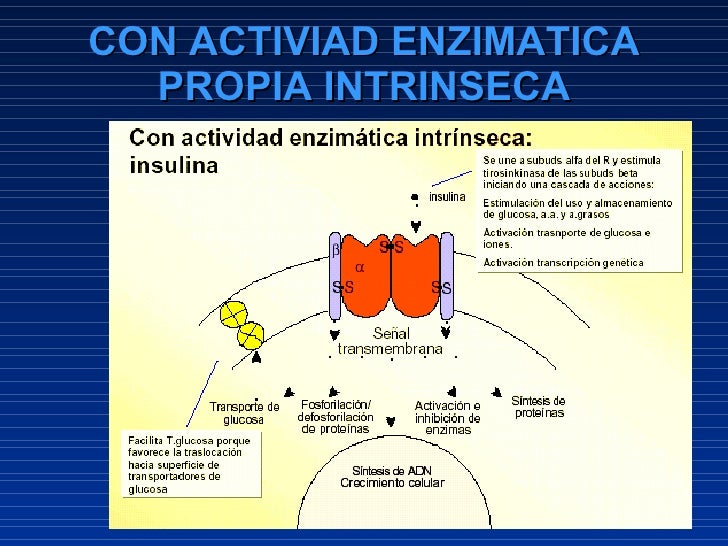 Farmacodinamia Lucho