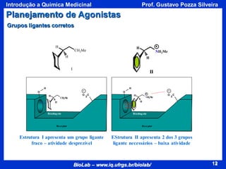 12
BioLab – www.iq.ufrgs.br/biolab/
Prof. Gustavo Pozza Silveira
Introdução a Química Medicinal
12
O
O
2
C
H
Bindingsite
Receptor
O
O
2
C
H
Bindingsite
Receptor
H
CH2Me
H
EStrutura II apresenta 2 dos 3 grupos
ligante necessários – baixa atividade
H
NH2Me
H
I
H
CH2Me
H
II
H
NH2Me
H
Estrutura I apresenta um grupo ligante
fraco – atividade desprezível
Grupos ligantes corretos
Planejamento de Agonistas
 