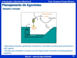 15
BioLab – www.iq.ufrgs.br/biolab/
Prof. Gustavo Pozza Silveira
Introdução a Química Medicinal
15
O
N
H 2
H
H
Me
CH 3
• Agonistas precisam apresentar o tamanho e formatos corretos para preencher o
sítio ligante
• Grupos que impedem o acesso ao sítio ligante são chamados de bloqueadores
estéricos
Sem encaixe
O
O 2 C
H
Binding site
Tamanho e formato
CH 3
Bloqueador estérico
Me
Bloqueador
estérico
Planejamento de Agonistas
 