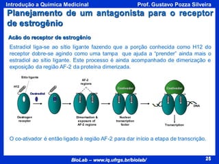 25
BioLab – www.iq.ufrgs.br/biolab/
Prof. Gustavo Pozza Silveira
Introdução a Química Medicinal
25
Acão do receptor de estrogênio
Oestradiol
H12
Oestrogen
receptor
Sitio ligante
AF-2
regions
Dimerisation &
exposure of
AF-2 regions
Coativador
Nuclear
transcription
factor
Coativador
DNA
Transcription
Planejamento de um antagonista para o receptor
de estrogênio
Estradiol liga-se ao sítio ligante fazendo que a porção conhecida como H12 do
receptor dobre-se agindo como uma tampa que ajuda a “prender” ainda mais o
estradiol ao sítio ligante. Este processo é ainda acompanhado de dimerização e
exposição da região AF-2 da proteína dimerizada.
O co-ativador é então ligado à região AF-2 para dar início a etapa de transcrição.
 