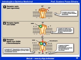 35
BioLab – www.iq.ufrgs.br/biolab/
Prof. Gustavo Pozza Silveira
Introdução a Química Medicinal
35
 