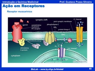 53
BioLab – www.iq.ufrgs.br/biolab/
Prof. Gustavo Pozza Silveira
Introdução a Química Medicinal
53
Ação em Receptores
Receptor muscarínico
 