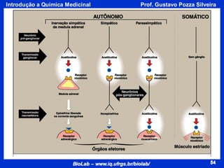 54
BioLab – www.iq.ufrgs.br/biolab/
Prof. Gustavo Pozza Silveira
Introdução a Química Medicinal
54
 