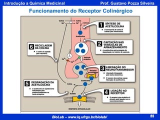 55
BioLab – www.iq.ufrgs.br/biolab/
Prof. Gustavo Pozza Silveira
Introdução a Química Medicinal
55
Funcionamento do Receptor Colinérgico
 
