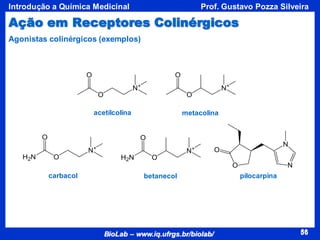 56
BioLab – www.iq.ufrgs.br/biolab/
Prof. Gustavo Pozza Silveira
Introdução a Química Medicinal
56
acetilcolina metacolina
carbacol betanecol pilocarpina
Agonistas colinérgicos (exemplos)
Ação em Receptores Colinérgicos
 