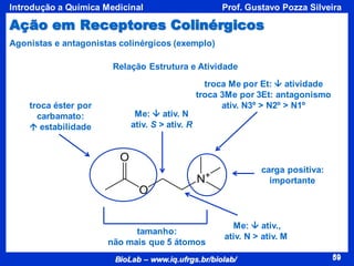 59
BioLab – www.iq.ufrgs.br/biolab/
Prof. Gustavo Pozza Silveira
Introdução a Química Medicinal
59
Me:  ativ.,
ativ. N > ativ. M
troca Me por Et:  atividade
troca 3Me por 3Et: antagonismo
ativ. N3º > N2º > N1º
tamanho:
não mais que 5 átomos
Me:  ativ. N
ativ. S > ativ. R
carga positiva:
importante
troca éster por
carbamato:
 estabilidade
Agonistas e antagonistas colinérgicos (exemplo)
Relação Estrutura e Atividade
Ação em Receptores Colinérgicos
 