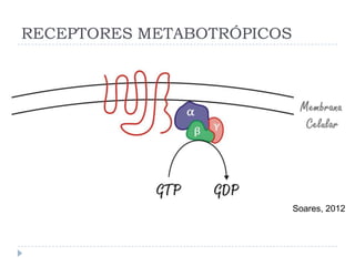 RECEPTORES METABOTRÓPICOS




                            Soares, 2012
 