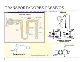 TRANSPORTADORES PASSIVOS
 