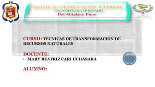 CURSO: TECNICAS DE TRANSFORMACION DE
RECURSOS NATURALES
DOCENTE:
• MARY BEATRIZ CARI UCHASARA
ALUMNO:
 