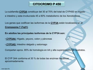 CITOCROMO P 450

La subfamilia CYP3A constituye del 30 al 70% del total de CYP450 en hígado
e intestino y esta involucrada 45 a 60% metabolismo de los Xenobioticos.


Los genes que codifican las isoformas de la CYP3A están localizados en el
Cromosoma 7 (7q21)

En adultos las principales isoformas de la CYP3A son:

• CYP3A4: Hígado, yeyuno, colon y páncreas

• CYP3A5: Intestino delgado y estomago

Comparten aprox. 85% de homología en AA y alta superposición de sustratos.


El CYP 3A4 conforma el 30 % de todas las enzimas hepáticas
aproximadamente.
 