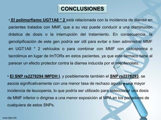 CONCLUSIONES

• El polimorfismo UGT1A8 * 2 está relacionada con la incidencia de diarrea en
pacientes tratados con MMF, que a su vez puede conducir a una disminución
drástica de dosis o la interrupción del tratamiento. En consecuencia, la
genotipificación de este gen podría ser útil para evitar o bien administrar MMF
en UGT1A8 * 2 vehículos o para combinar con MMF con ciclosporina o
tacrolimus en lugar de ImTORs en estos pacientes, ya que este fármaco tiene al
parecer un efecto protector contra la diarrea inducida por el micofenolato.


• El SNP rs2278294 IMPDH I, y posiblemente también el SNP rs2278293, se
asocia significativamente con una menor tasa de rechazo agudo y una mayor
incidencia de leucopenia, lo que podría ser utilizado para seleccionar una dosis
de MMF inferior o dirigirse a una menor exposición al MPA en los portadores de
cualquiera de estos SNPs.
 