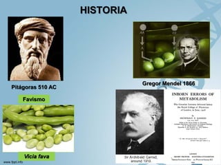 HISTORIA




                              Gregor Mendel 1866
Pitágoras 510 AC

    Favismo




    Vicia fava
 