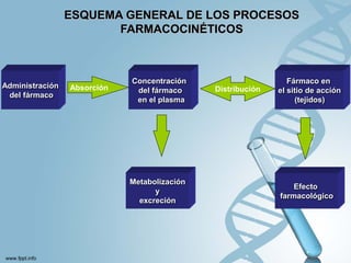 ESQUEMA GENERAL DE LOS PROCESOS
                        FARMACOCINÉTICOS



                             Concentración                      Fármaco en
Administración   Absorción                    Distribución
                              del fármaco                    el sitio de acción
 del fármaco
                              en el plasma                         (tejidos)




                             Metabolización
                                                                 Efecto
                                   y
                                                             farmacológico
                               excreción
 