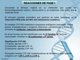 REACCIONES DE FASE I
Convierten al fármaco original en un metabolito que puede ser
farmacológicamente inactivo, menos activo o, en ocasiones, más activo que la
molécula inicial.

El principal complejo enzimático que participa en estas reacciones es el
Citocromo P450 (más del 90% del metabolismo oxidativo).

El complejo CYP 450 metaboliza compuestos endógenos (esteroides, ácidos
grasos, prostaglandinas) y exógenos (fármacos y xenobióticos), a través de
procesos de oxidación, reducción e hidroxilación.

En el ser humano se han identificado mas de 21 familias de enzimas
citocromales, divididas en 20 subfamilias y 57 genes.

Clasificación CYP 450
1) Familia: ejemplo CYP 1
2) Subfamilia: ejemplo CYP 1A
3) Isoenzima: ejemplo CYP 1A2

Principales familias CYP 450 metabolizadoras de fármacos y otros agentes
exógenos son: CYP 1, CYP 2 y CYP 3.
 