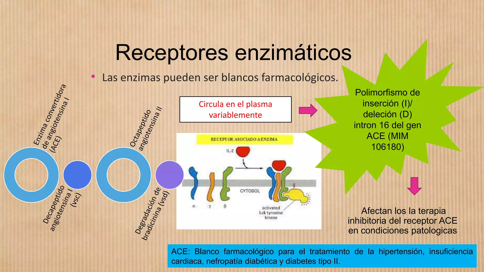 Farmacogenetica y farmacogenomica | PPTX