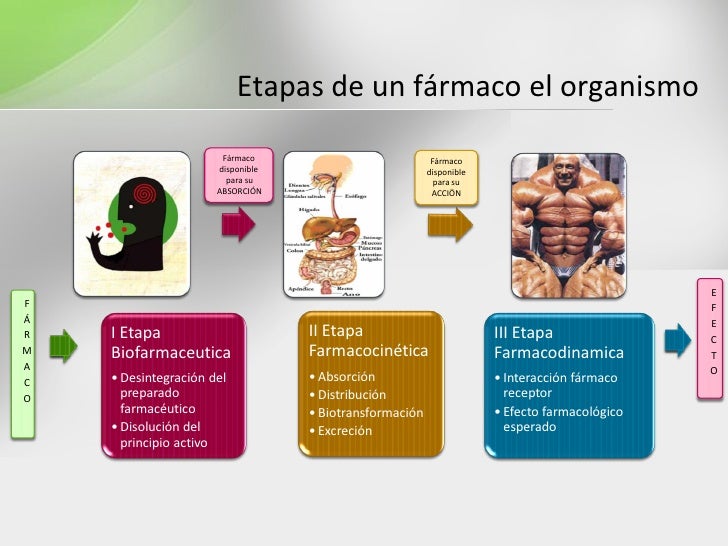 FarmacogenéTica Fjl