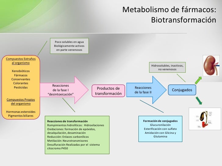 FarmacogenéTica Fjl FarmacogenéTica Fjl