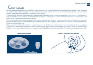 CONOS VAGINALES
Los conos vaginales son dispositivos con cierto peso que se insertan en la vagina y que se utilizan para fortalecer la musculatura del suelo pélvico de la mujer. No suponen
una medida paliativa como las contempladas en el documento hasta este momento pero, hasta la fecha, son los únicos productos sanitarios de acceso generalizado
diseñados para el tratamiento conservador de la incontinencia urinaria de estrés.
El suelo pélvico es el conjunto de músculos que sostiene toda la parte baja del abdomen, como un arco protector para la vejiga, el útero o matriz y el intestino inferior.A
través del suelo pélvico pasan los conductos de salida al exterior de estos órganos: la uretra, la vagina y el recto. El debilitamiento de los músculos del suelo pélvico puede
provocar a corto o largo plazo incontinencia urinaria de estrés.
El entrenamiento de los músculos del suelo pelviano a través de un programa de ejercicios, ha sido durante mucho tiempo la forma más común de tratamiento conservador
para la incontinencia urinaria de estrés. Estos ejercicios se vienen utilizando desde 1948 (Kegel) para la reeducación de los músculos del suelo pélvico a través de
contracciones voluntarias de la mujer.
Muchas mujeres tienen problemas para identificar su suelo pelviano, y por lo tanto dificultades en su entrenamiento. Los conos vaginales pueden suponer una ayuda para
su identificación y fortalecimiento. Consisten en un sistema de 5 pesas vaginales de peso creciente, que van desde los 20 a los 100 g, aunque son del mismo tamaño
(Figura 1),y se usan manteniéndolos en la vagina como un pequeño tampón (Figura 2) durante un periodo aproximado de 15 minutos dos veces al día,de pie o caminando.
Figura 1. Conos vaginales Figura 2. Colocación conos vaginales
GUIA FARMACOGERIATRICA
Guía Farmacogeria./04 FINAL_cor 22/4/05 12:33 Página 226
 