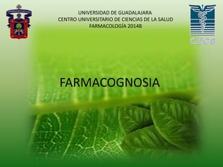 UNIVERSIDAD DE GUADALAJARA 
CENTRO UNIVERSITARIO DE CIENCIAS DE LA SALUD 
FARMACOLOGÍA 2014B 
FARMACOGNOSIA 
 