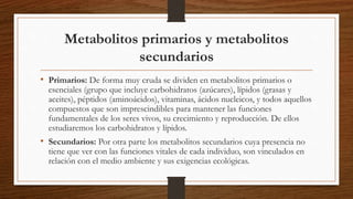 Metabolitos primarios y metabolitos
secundarios
• Primarios: De forma muy cruda se dividen en metabolitos primarios o
esenciales (grupo que incluye carbohidratos (azúcares), lípidos (grasas y
aceites), péptidos (aminoácidos), vitaminas, ácidos nucleicos, y todos aquellos
compuestos que son imprescindibles para mantener las funciones
fundamentales de los seres vivos, su crecimiento y reproducción. De ellos
estudiaremos los carbohidratos y lípidos.
• Secundarios: Por otra parte los metabolitos secundarios cuya presencia no
tiene que ver con las funciones vitales de cada individuo, son vinculados en
relación con el medio ambiente y sus exigencias ecológicas.
 
