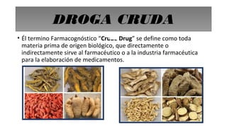 DROGA CRUDA
• Él termino Farmacognóstico “Crude Drug” se define como toda
materia prima de origen biológico, que directamente o
indirectamente sirve al farmacéutico o a la industria farmacéutica
para la elaboración de medicamentos.